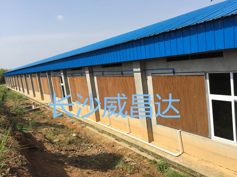 夏季燒烤模式開啟，您的養(yǎng)殖畜禽舍降溫了嗎？湖南水簾風(fēng)機專業(yè)為養(yǎng)殖畜禽舍降溫